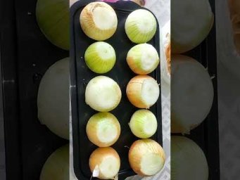 Зелёный лук на подоконнике - проще не придумаешь.