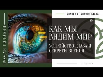 Как мы видим мир: устройство глаза и секреты зрения