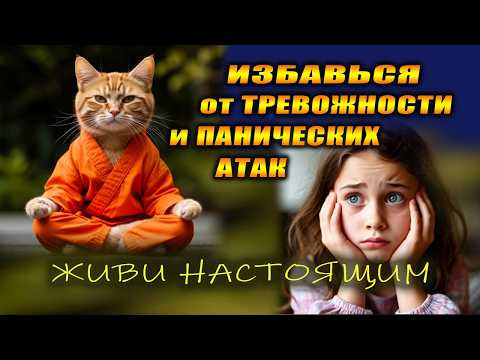 Панические атаки. Тревожность. Как убрать за неделю самостоятельно? | Евгений Грин