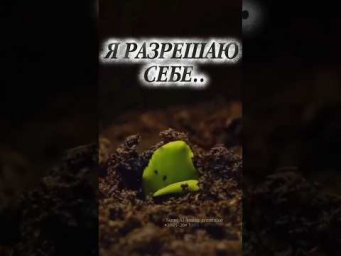 Этот ролик можно смотреть, слушать... а главное чувствовать! Какие мысли приходят к вам при этом?