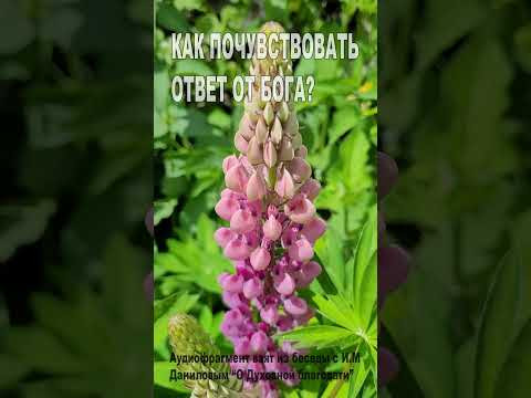 Как почувствовать ответ от Бога? (116)