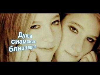 ЭНЕРГОИНФОРМАЦИОННЫЙ ГИПНОЗ. Души сиамских близнецов.