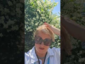 Про Жасмин и его ресурс ☝️