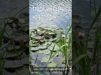 Традиции разные, но Бог - один! (131)