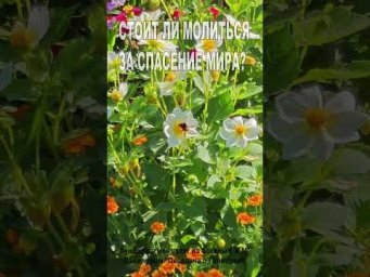 Стоит ли молиться за спасение мира? (140)