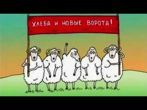 Ответ кастрюлеголовым Ответ кастрюлеголовым