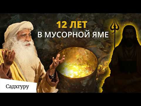 Цена прошлой кармы Цена прошлой кармы