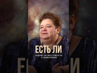 ЕСТЬ ЛИ КАРМА ЗА ЖЕСТОКОСТЬ К ЖИВОТНЫМ?! #иринакассиопея #карма #животные #кармазажестокость