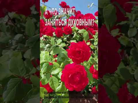 А что значит "заняться духовным"? (74)