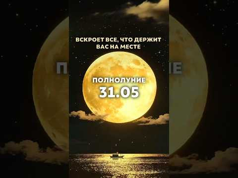 photo photo