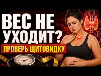 ❓ Щитовидка и лишний вес: почему гормоны и диеты не дают устойчивый результат