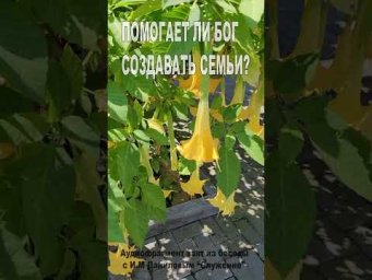 Помогает ли Бог создавать семьи? (179)