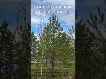 Стань Человеком здесь и сейчас! (2к)