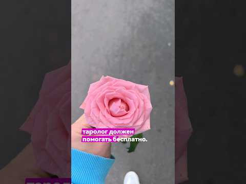 Должен ли таролог гадать бесплатно!? #мастертаро #таро #эзотерика