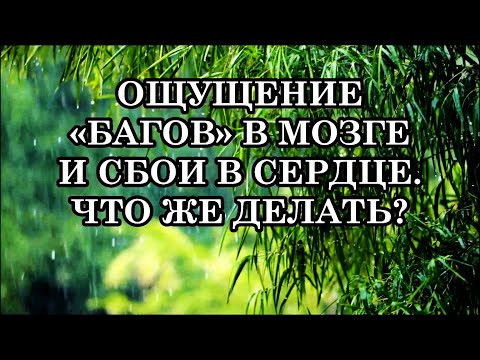 ОЩУЩЕНИЕ &laquo;БАГОВ&raquo; В МОЗГЕ И СБОИ В СЕРДЦЕ. ЧТО ПРОИСХОДИТ? КАКИЕ СИМПТОМЫ У ВАС? ЧТО ЖЕ ДЕЛАТЬ?