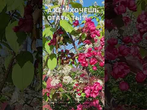 А кем хочешь стать ты? (22)