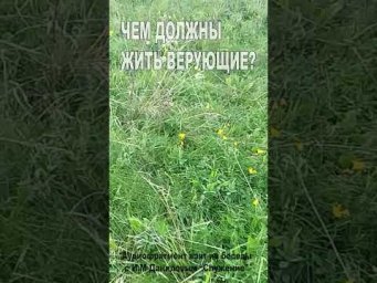 Чем должны жить верующие? (163)