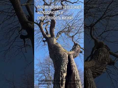 Почему человек не осознает иллюзорность и скоротечность жизни? (51)