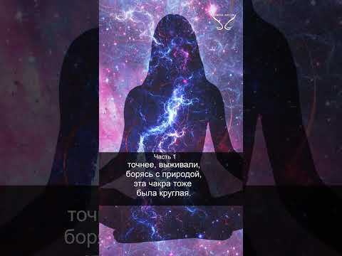 Чакры человека. Сахасрара. Часть 1. Коронная чакра. 47/53