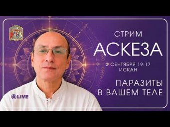 Паразиты в нашем теле: кто живёт за наш счёт?