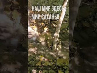 Наш мир здесь - мир Сатаны! (176)