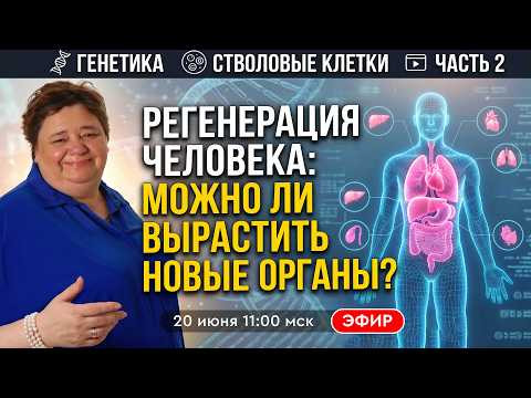 Регенерация человека. Можно ли вырастить новые ОРГАНЫ? Прямой эфир с Ириной Подзоровой