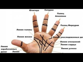 значение длины линии на руке. хиромантия