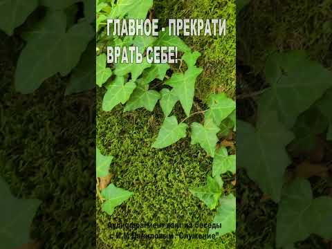 Главное - прекрати врать себе! (172)