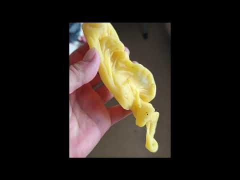 Порча мешок: (Ваша история) Порча мешок: (Ваша история)