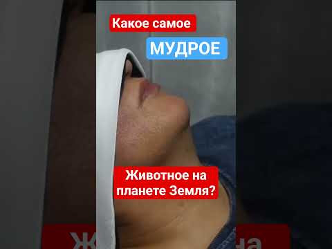 27 августа 2026 г.