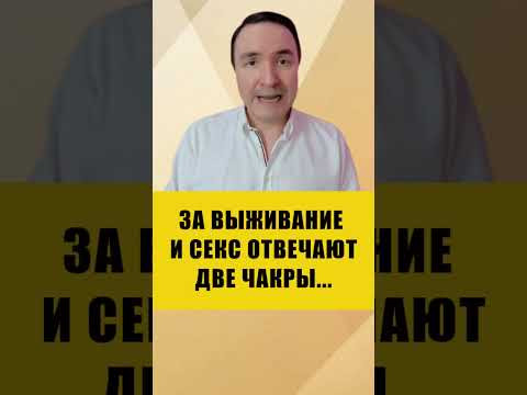Точная анатомия чакр: где они на самом деле? #энергетика #чакры #обучение Точная анатомия чакр: где они на самом деле? #энергетика #чакры #обучение