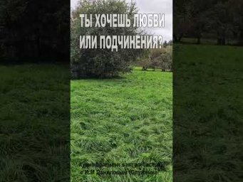 Ты хочешь любви или подчинения? (180)
