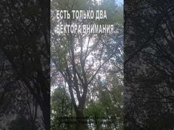 Есть только два вектора внимания! (145)
