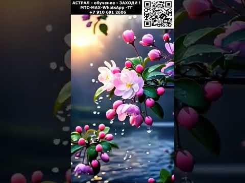 Красивые астральные цветы. Релакс #ИИ #красивый #позитивный #релакс #приятный #чудесный #вид #цветы Красивые астральные цветы. Релакс #ИИ #красивый #позитивный #релакс #приятный #чудесный #вид #цветы