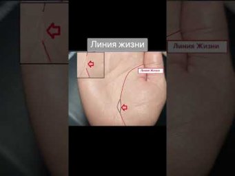 #гаданиепоруке  #хиромантия  #линияжизни
