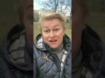 Вербное воскресенье, день силы