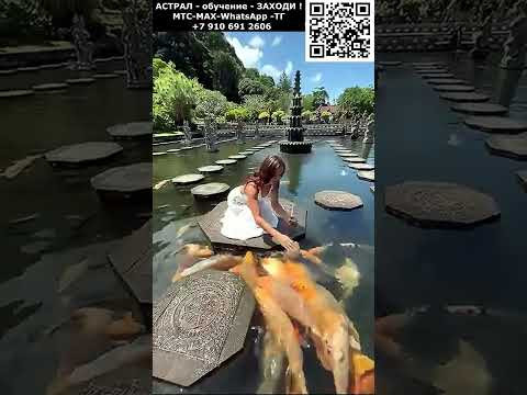 Фантастическое кормление рыб. Невероятное #невероятное #чудо #необычный #фантастика #ИИ #нейросеть