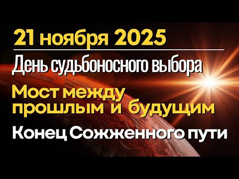 21 ноября: мост между прошлым и будущим. Конец Сожженного пути! День судьбоносного выбора