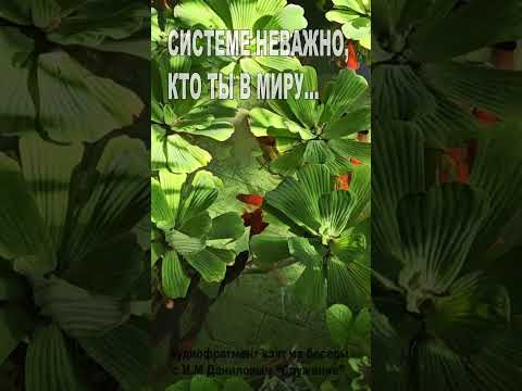 Системе не важно, кто ты в миру... (173)