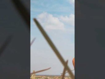 Хотите быть в здоровом теле  15 минут медитаций мало надо надо быть в гармонии весь день!
