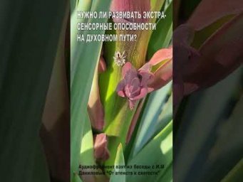 Нужно ли развивать экстрасенсорные способности на духовном пути? (60)