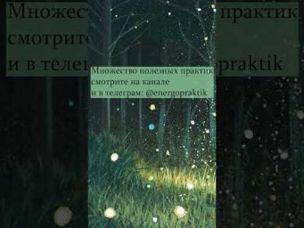 Эмоции и ощущения какая между ними взаимосвязь и как этим пользоваться?
