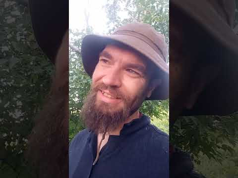 Казимир-Продолжаю Путь.