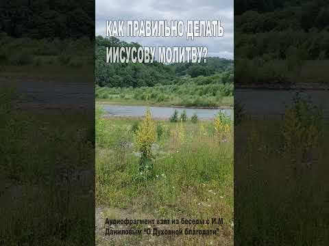 Как правильно делать Иисусову молитву? (111)
