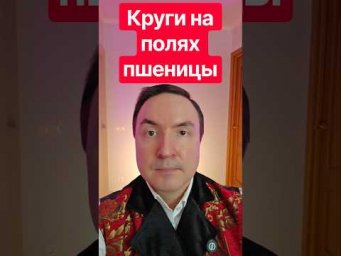 Круги на полях пшеницы. Загадочные круги на полях. Круги на полях.