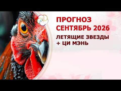 Прогноз по ФЭН ШУЙ и ЦИ МЭНЬ на СЕНТЯБРЬ 2026