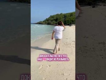 Наш мозг обманывает нас каждый день