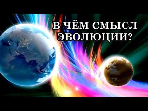 В ЧЁМ СМЫСЛ ЭВОЛЮЦИИ? СЛИЯНИЕ С ИСТОЧНИКОМ СВЕТА. СВЕТ &mdash; ЭТО ПРОСТРАНСТВО ЛЮБВИ И ГАРМОНИИ