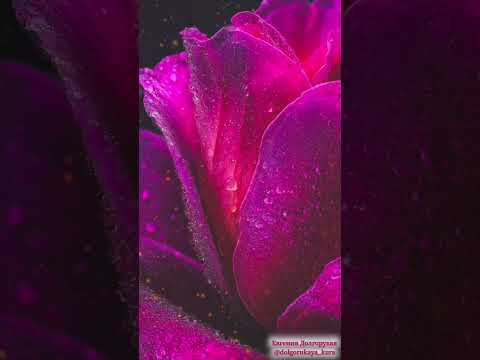 ⭐️ Медитация &laquo;ЛЮБОВЬ БОЖЕСТВЕННОЙ МАТЕРИ&raquo;