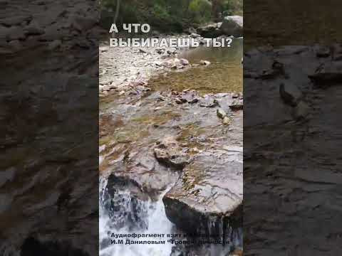 А что выбираешь ты? (10)